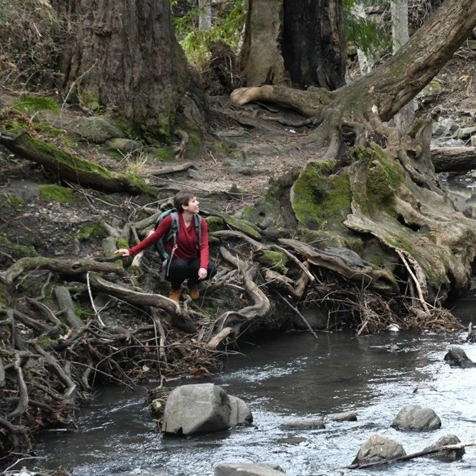 The Work that Reconnects: Nurturing Community and Purpose