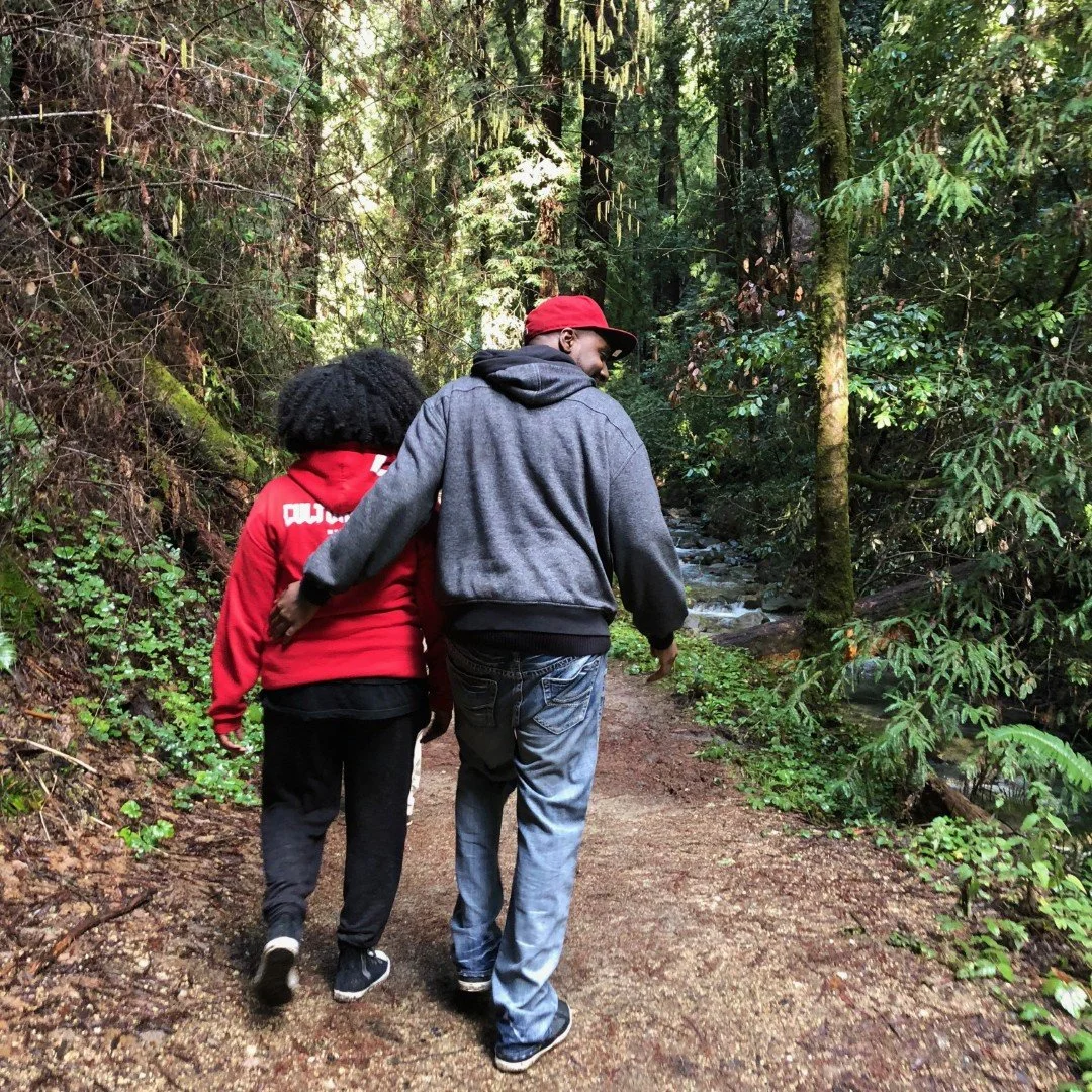 Tune In to Natural Wonders of the Redwood Forest