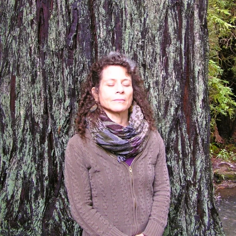 Nature-Based Mindfulness Mini Retreat