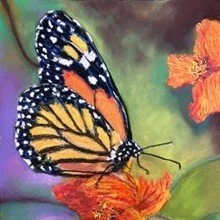 Monarch Butterfly - Pastel Painting