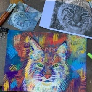 Native Animal Portraits - Pastel Painting