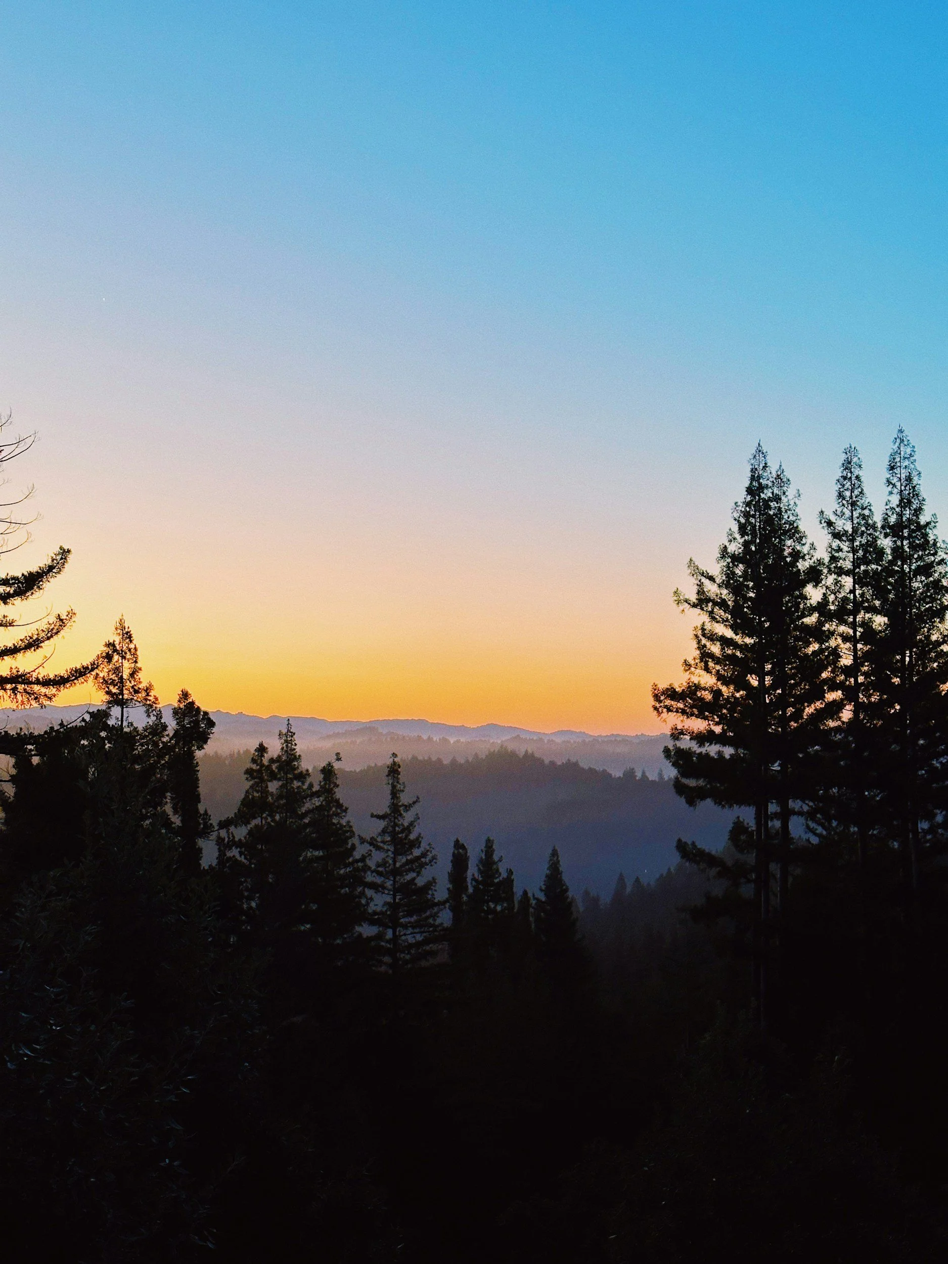 Plan a Day at Big Basin
