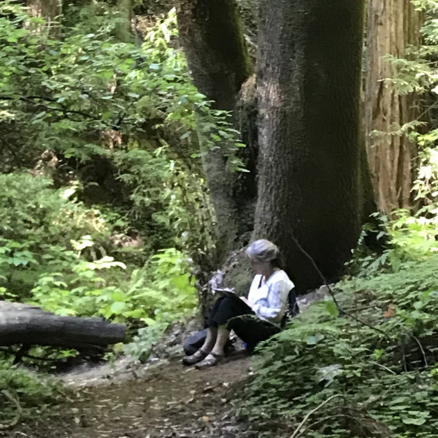 Naturally Creative - Writing in and with Nature