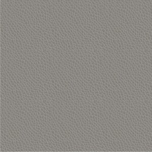 SLATE GRAY