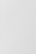 WHITE POWDER COAT