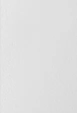WHITE POWDER COAT