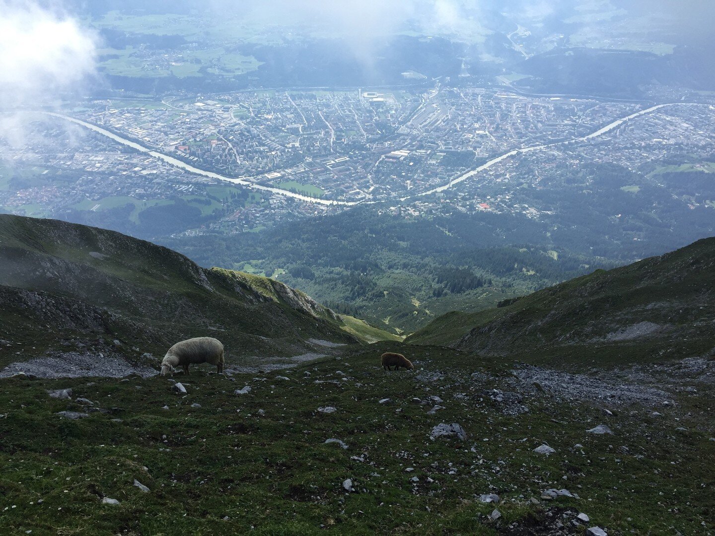 More design inspiration... At Scheefers Architecture, we  value designs that integrate harmoniously with nature. This photo was taken on a trip to Innsbruck, Austria - hiking above the city on the steep mountainside. We love the balance captured here