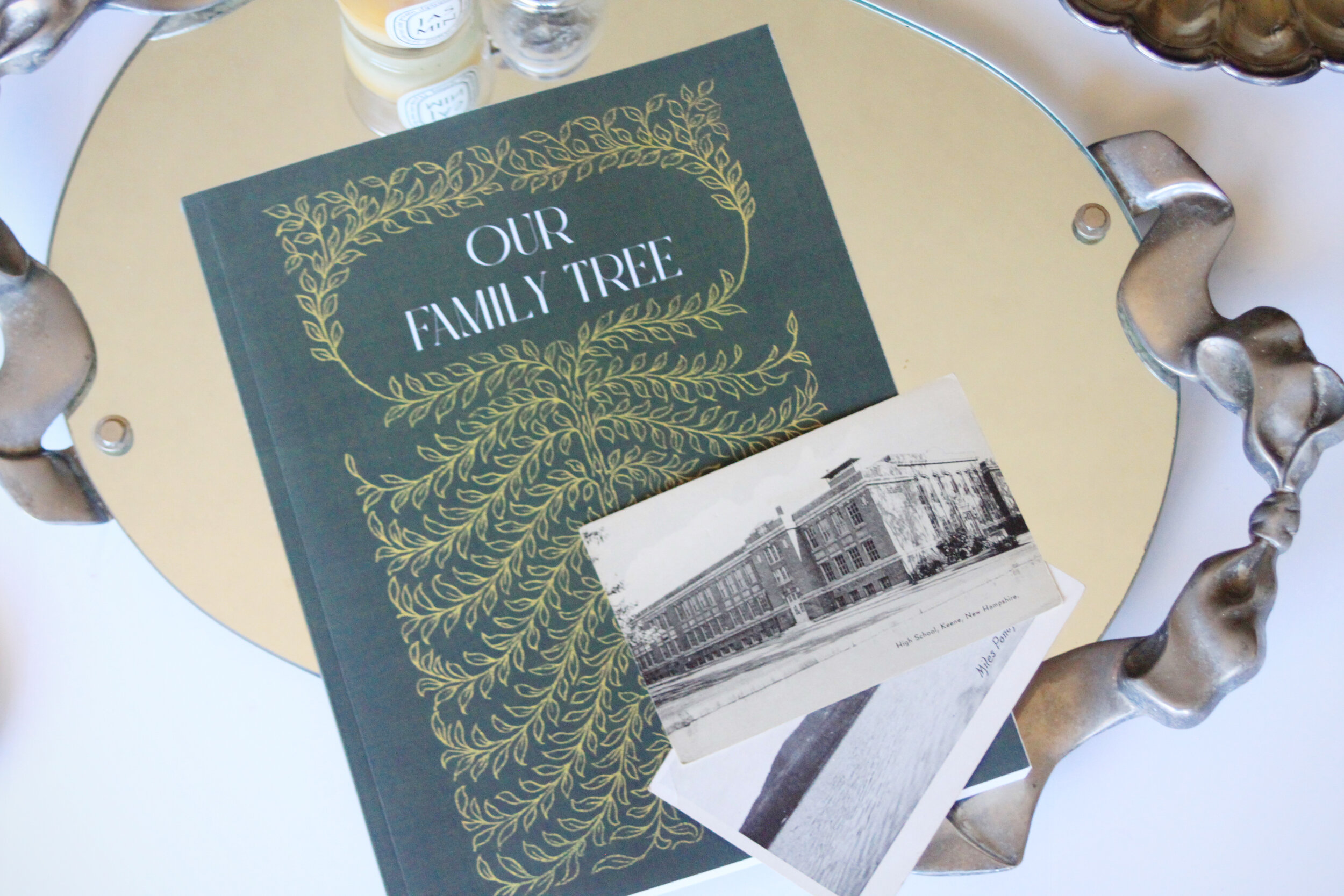 Yosoo Tree Notebook, Book for Ancestor History, Office Stationery for  Workbook: : Books