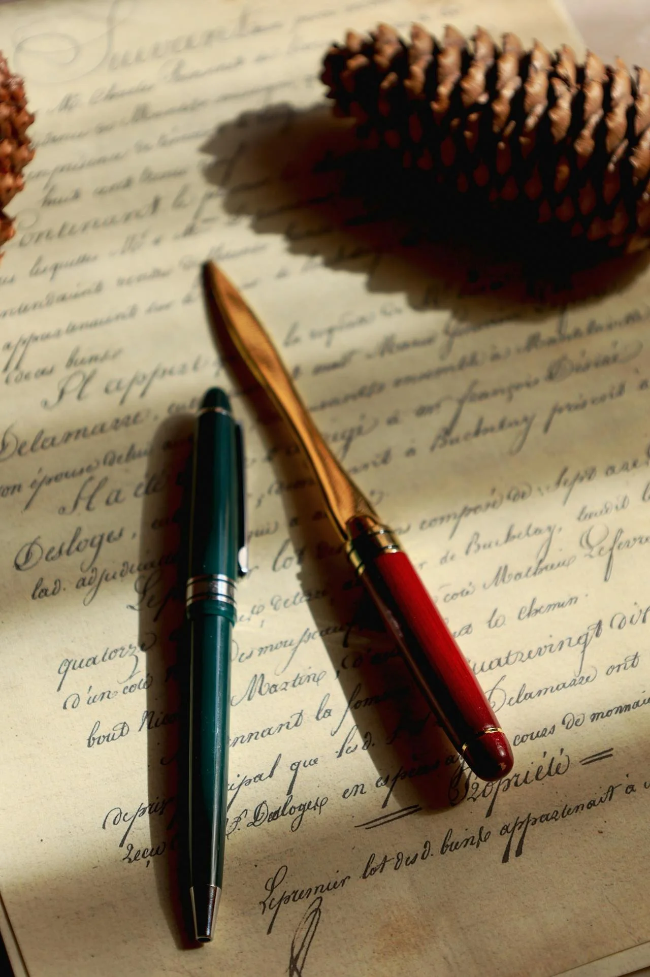 A Pen and a Letter Opener on a Letter Written in French