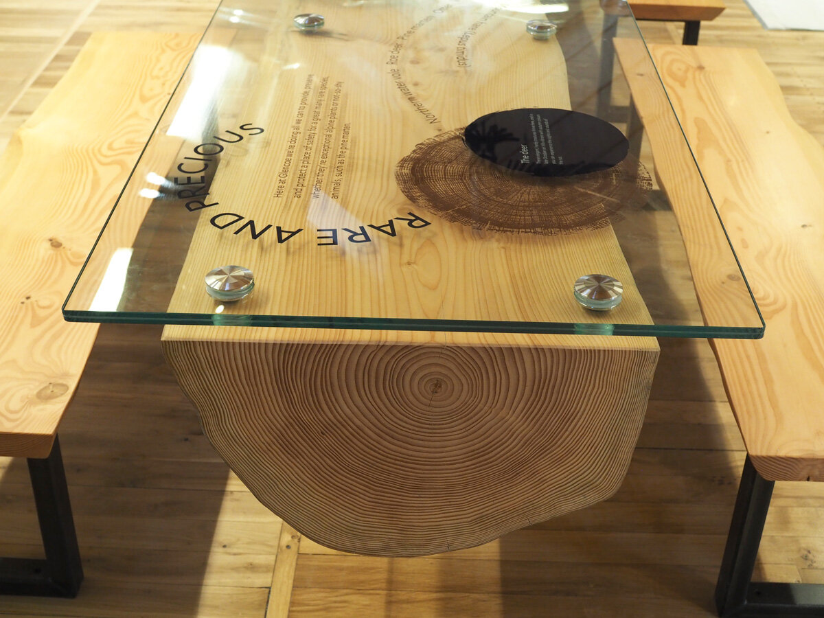 douglas-fir-log-table-glen-coe-glass-design.jpg