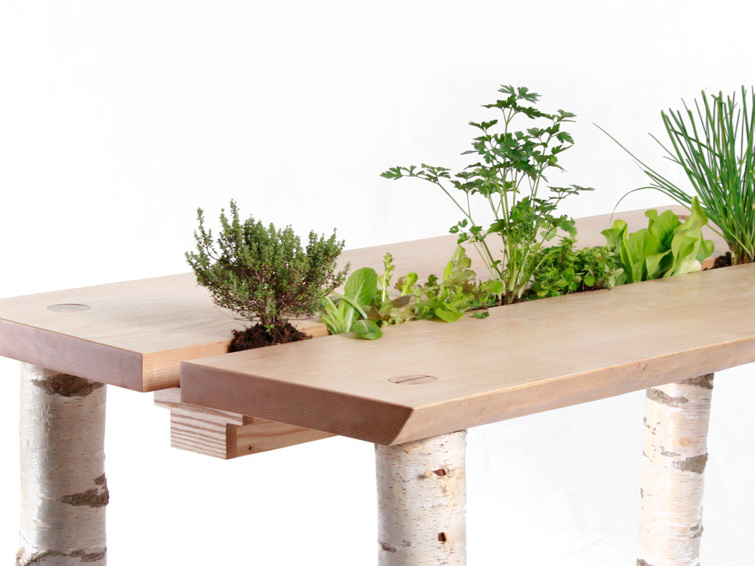 herb-garden-wooden-dining-table-modern-home-furniture.jpg
