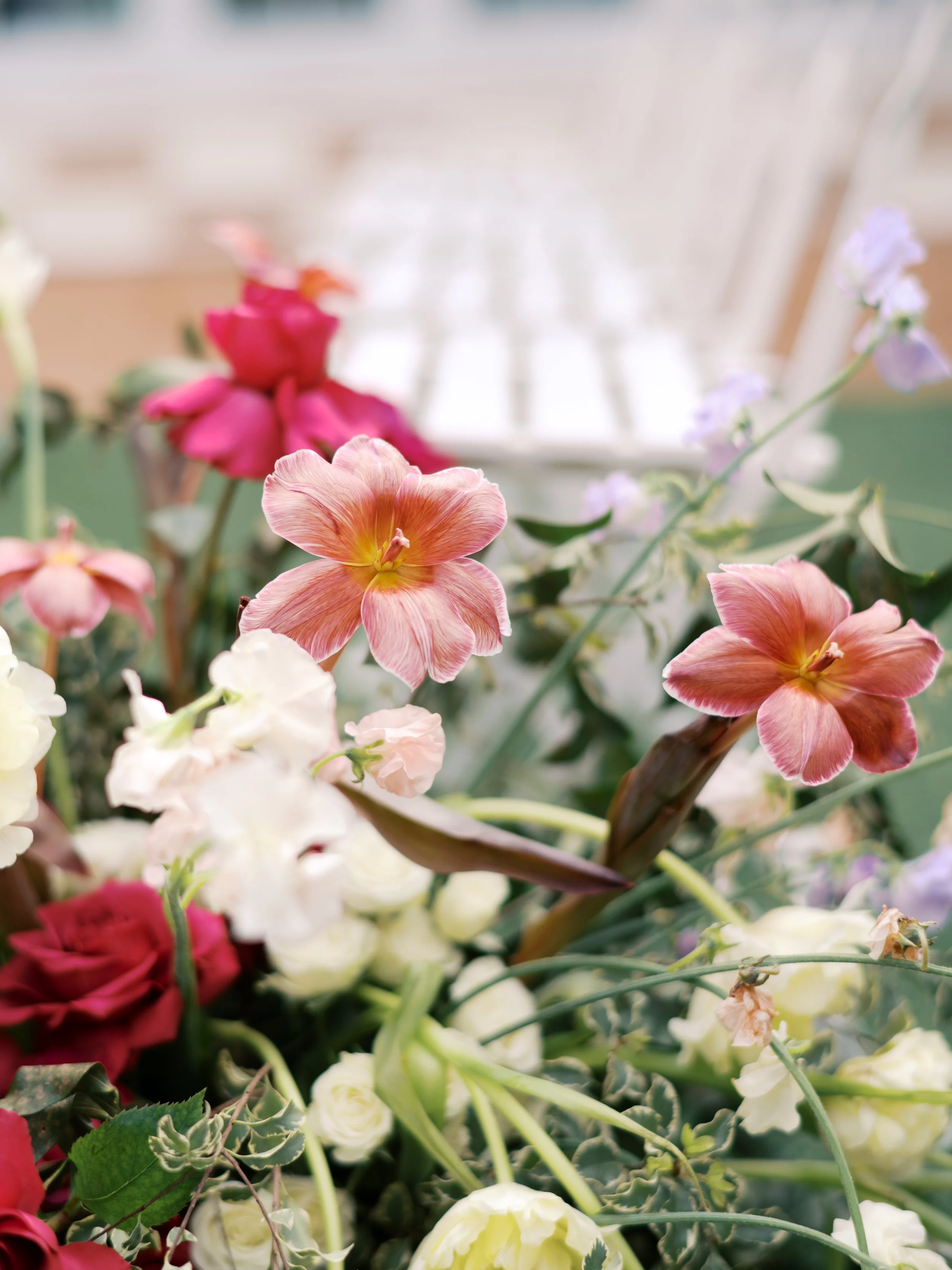 Hastings-Wedding-AngelinaLoretaPhotography-51.jpg