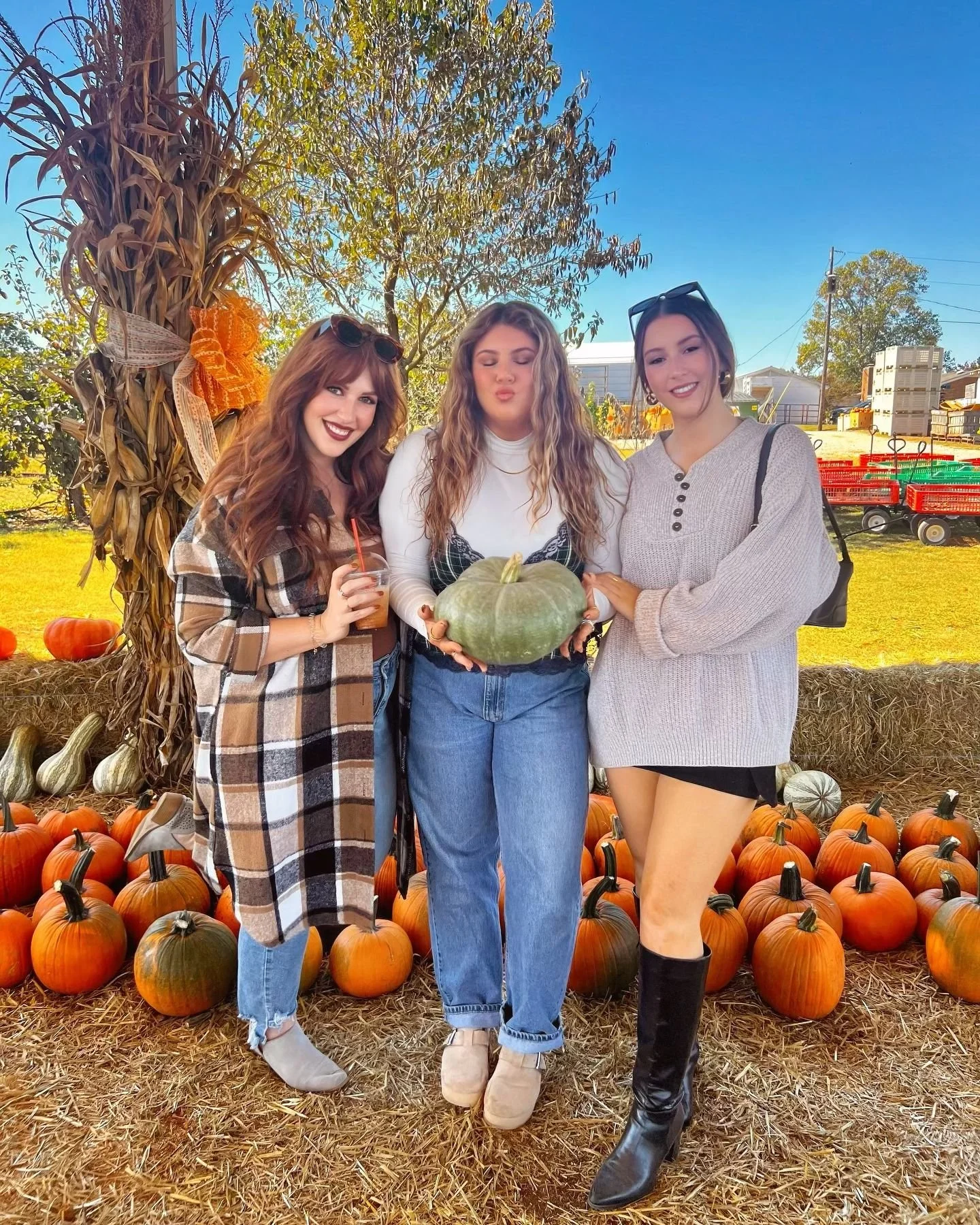 how do you like them apples? 😝🍎🎃💐🍂