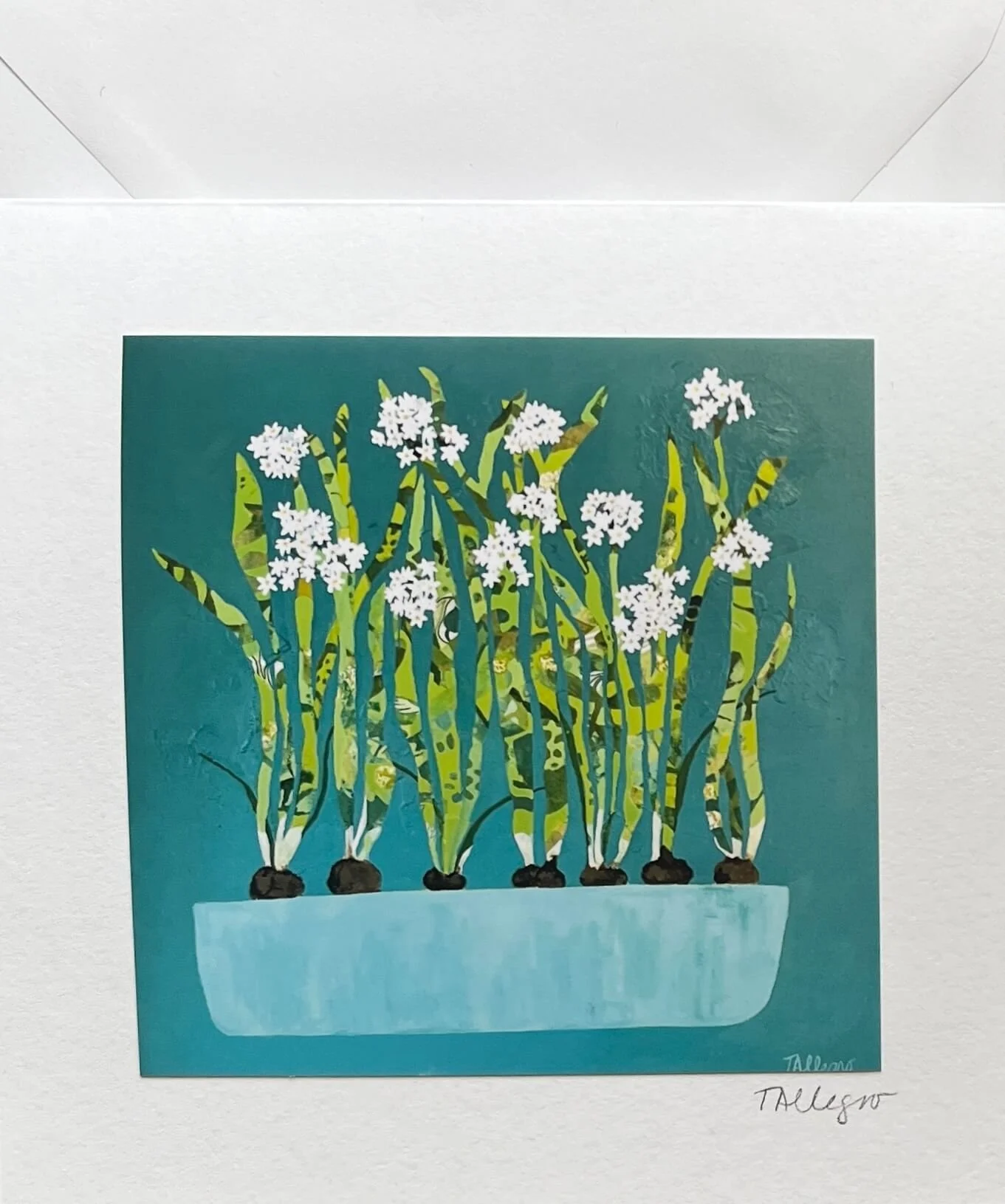 Paperwhite Jungle Greeting Cards