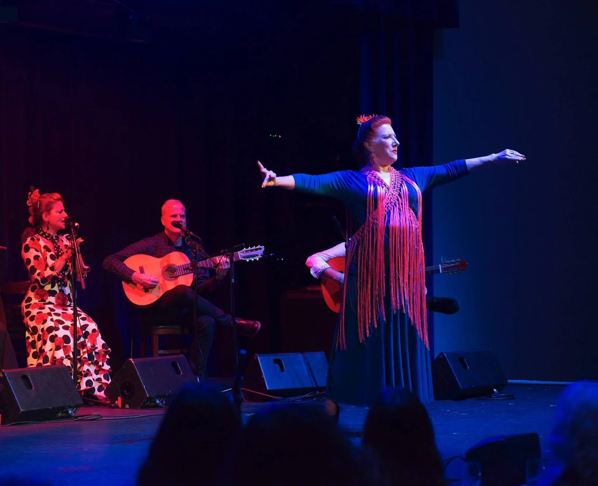 Tablao Flamenco: A La Romera