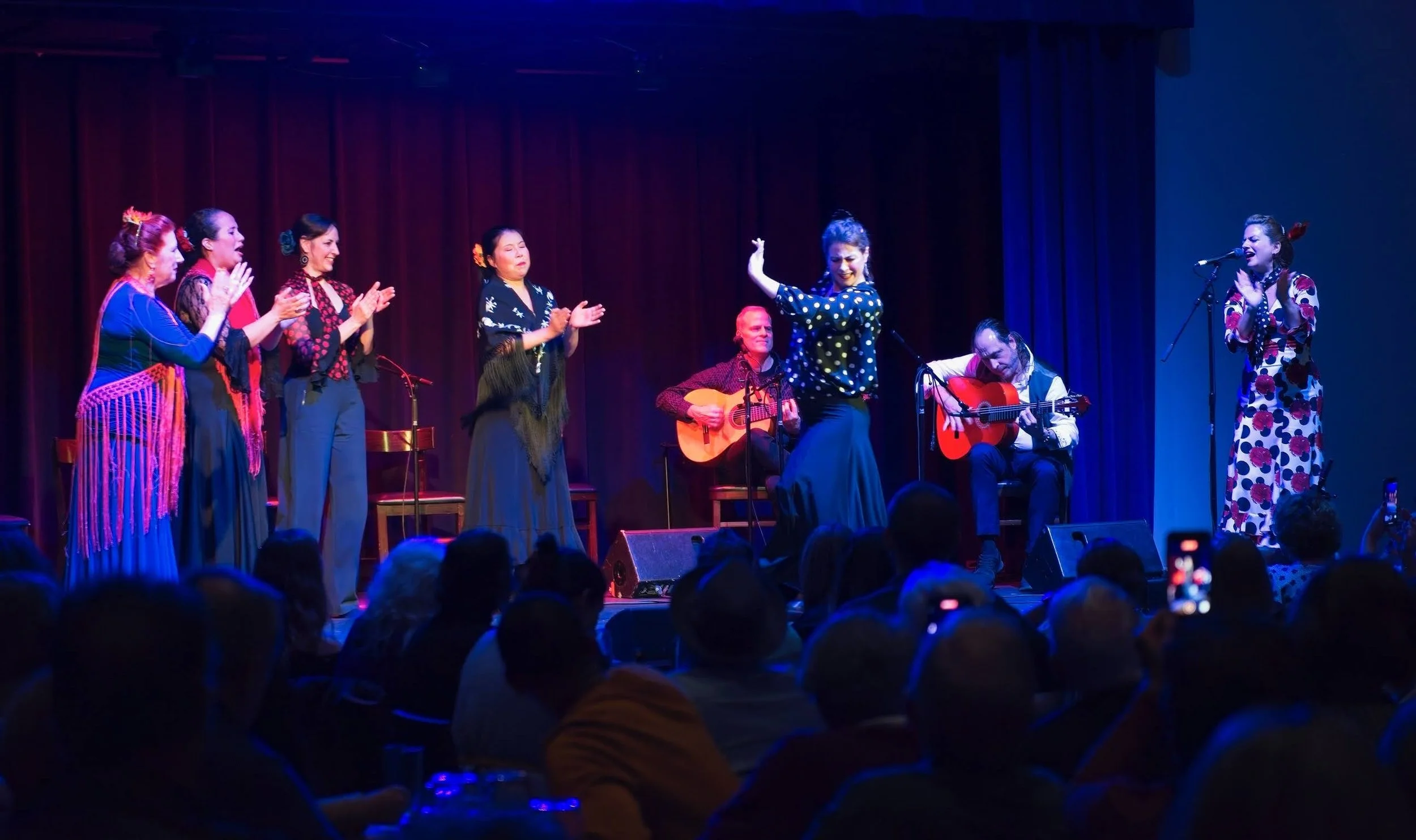 Flamenco Fiesta! Flamenco for the whole family