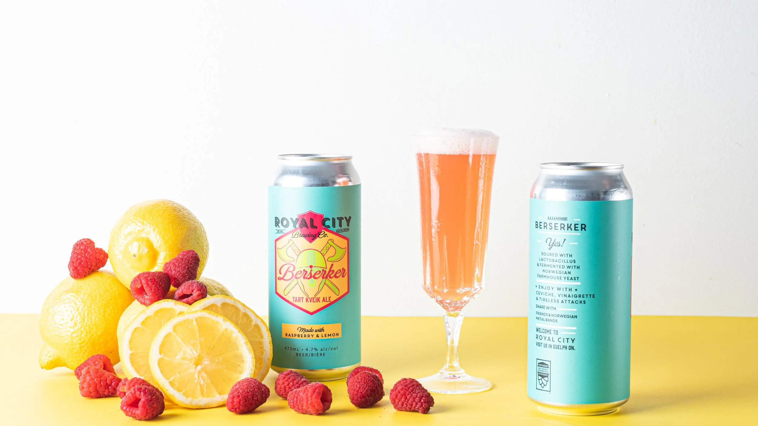 Berserker RL_Scene 1_Banner-1.JPG