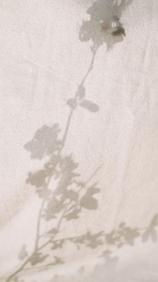 Shadow Background.jpg