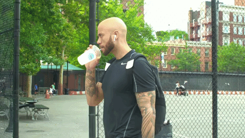 dibsvid11.gif
