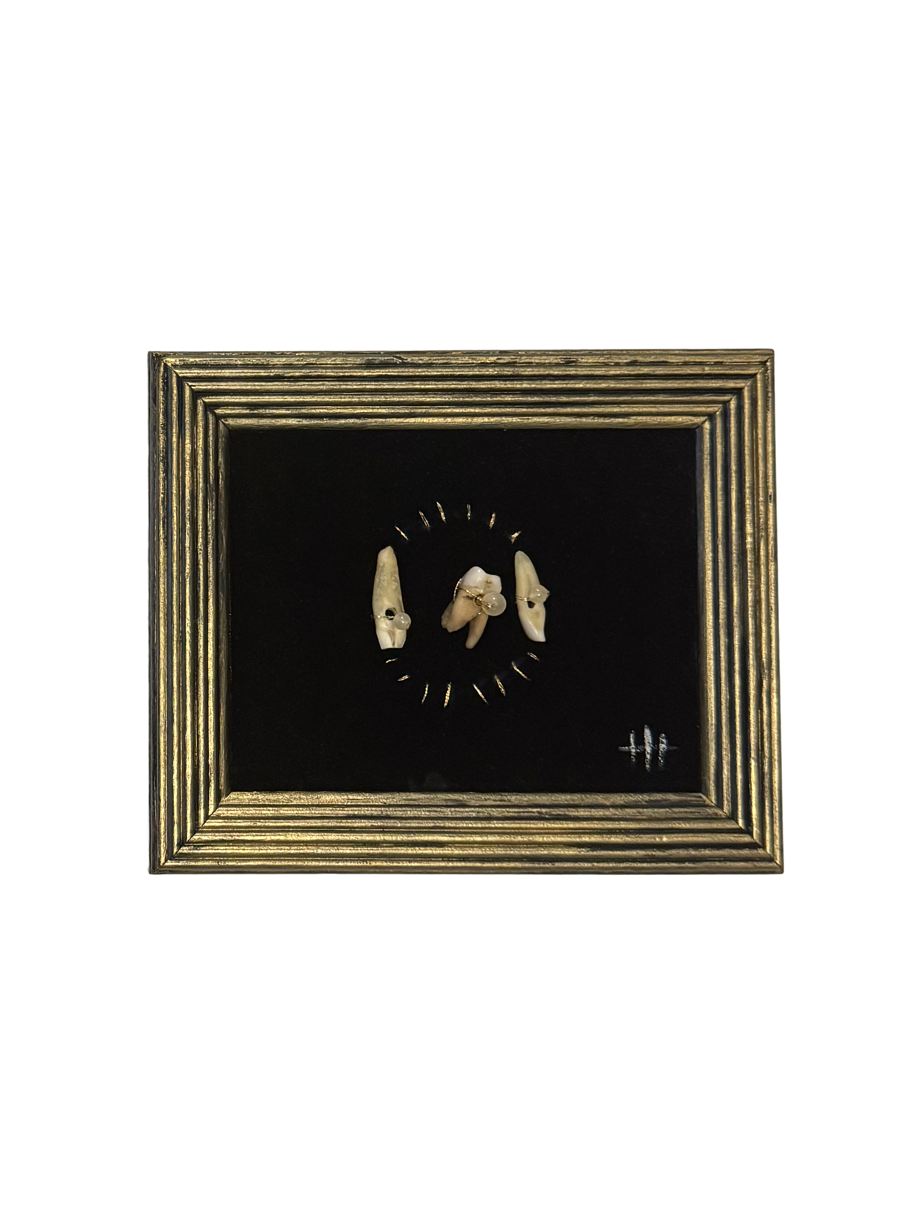 HAND-STITCHED & FRAMED HUMAN TEETH