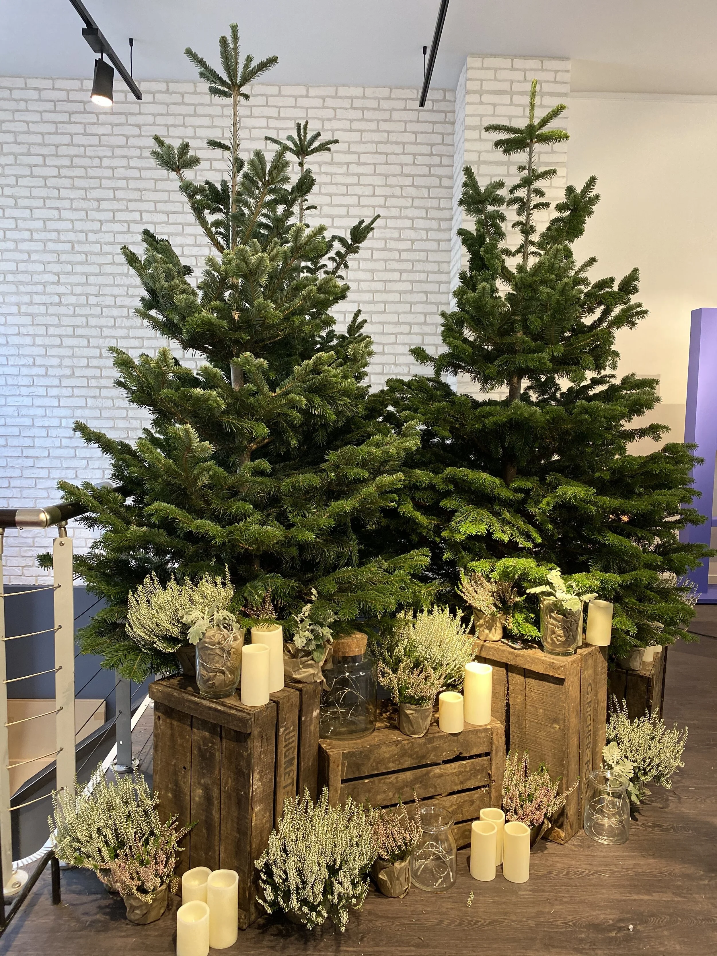  Installation de sapins et décors de Noel Boutiques, évènements ou particuliers  Me contacter pour devis 