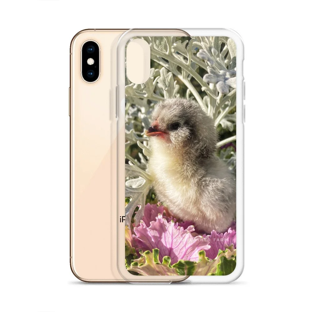 Lavender Ameraucana Chick Case For Iphones Flower Feather Farm Specialty Chicks Dahlias