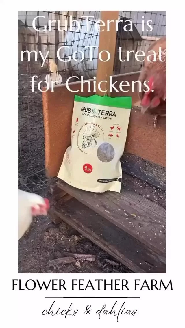 Slide 5