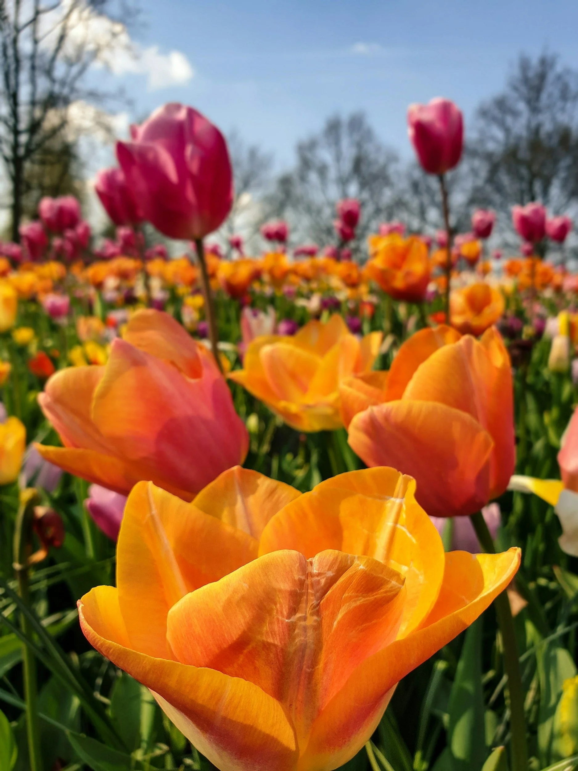 unsplash-image-DJeNiS-M6jw.jpg