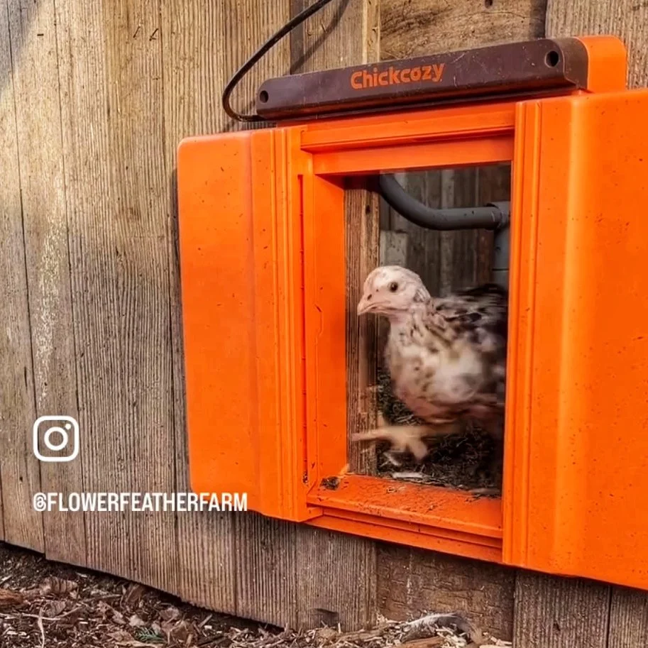 ChickCozy Coop Door