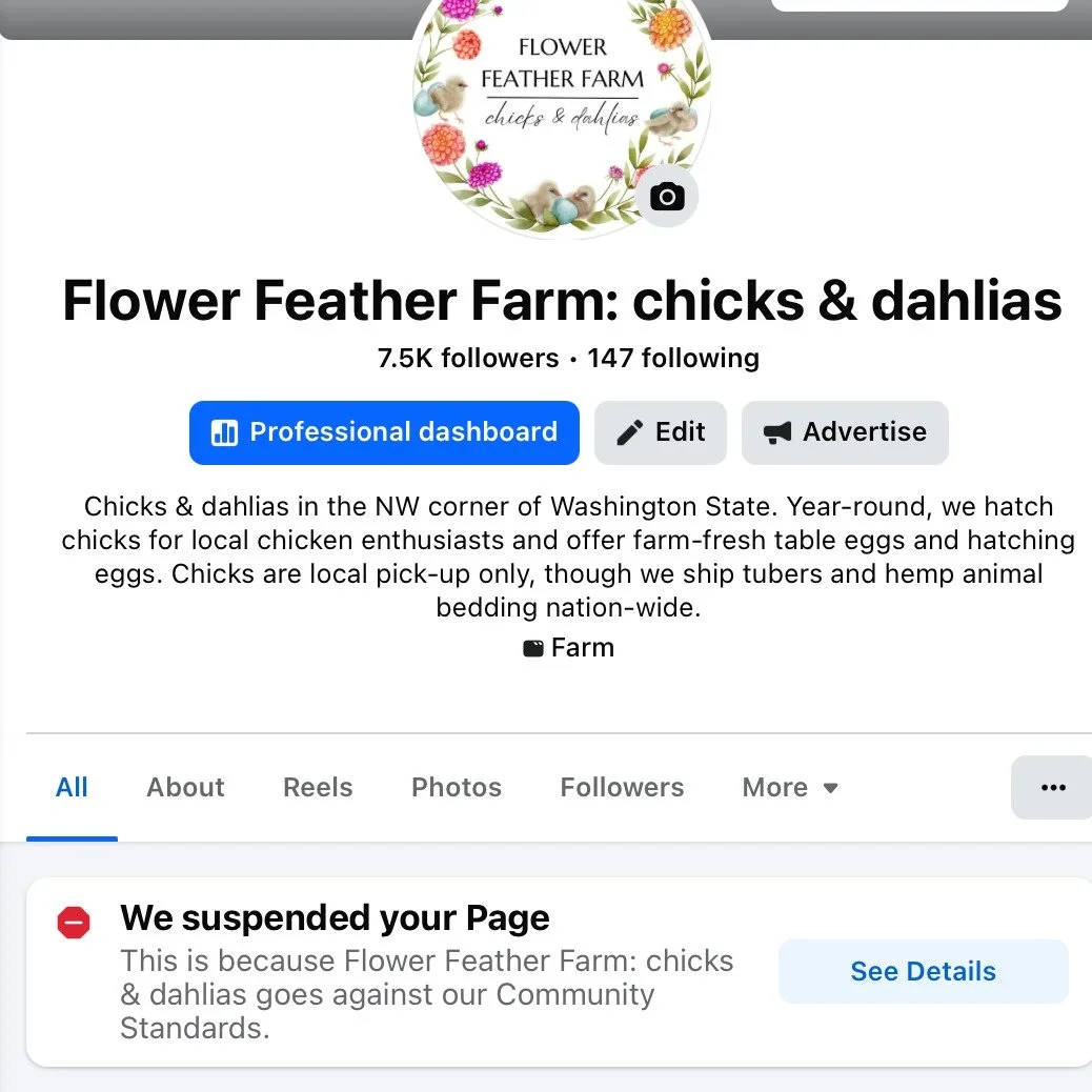 We have been locked out of our farm FB account. 7.5k followers and 7 years of traction gone. 💨 poof! AI 🤖 bots are ruthless. I spent four days looping through the AI support hoops. In spite of being meta-verified for enhanced support, I never did g