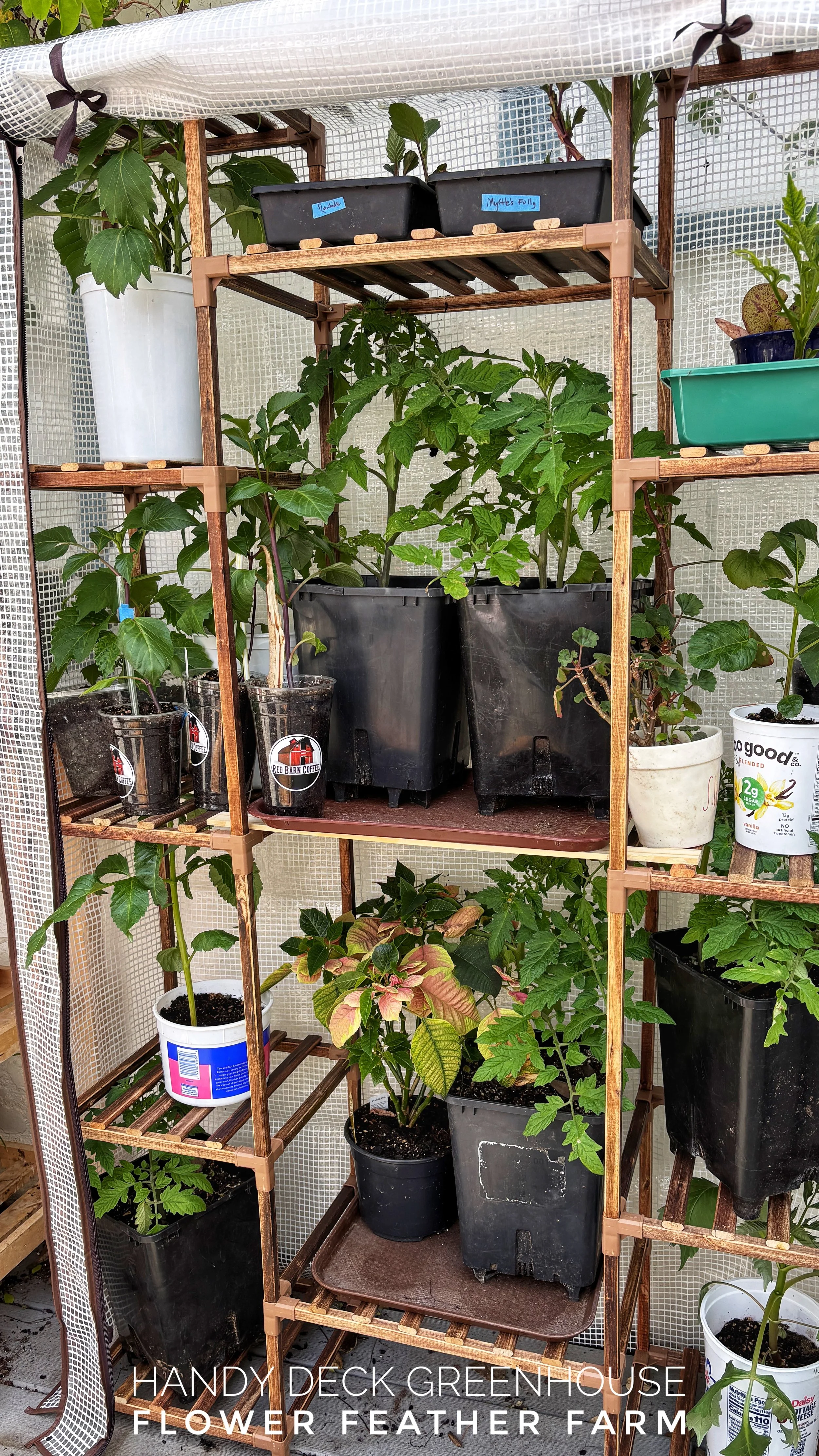 Deck Greenhouse.jpg