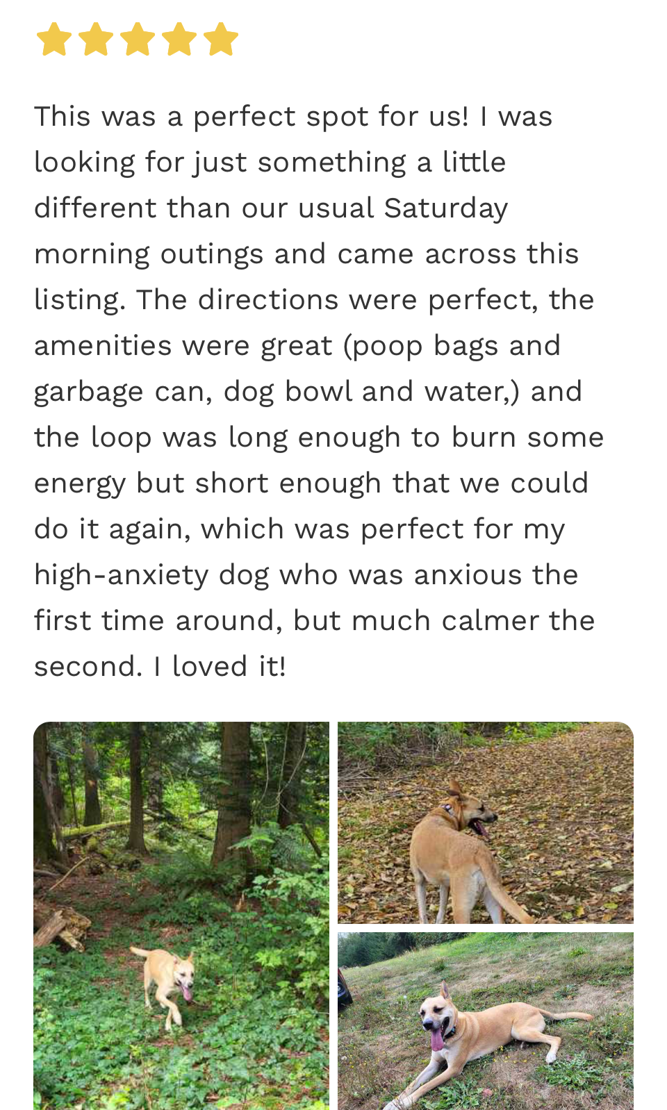 Best SniffSpot near Bellingham, WA