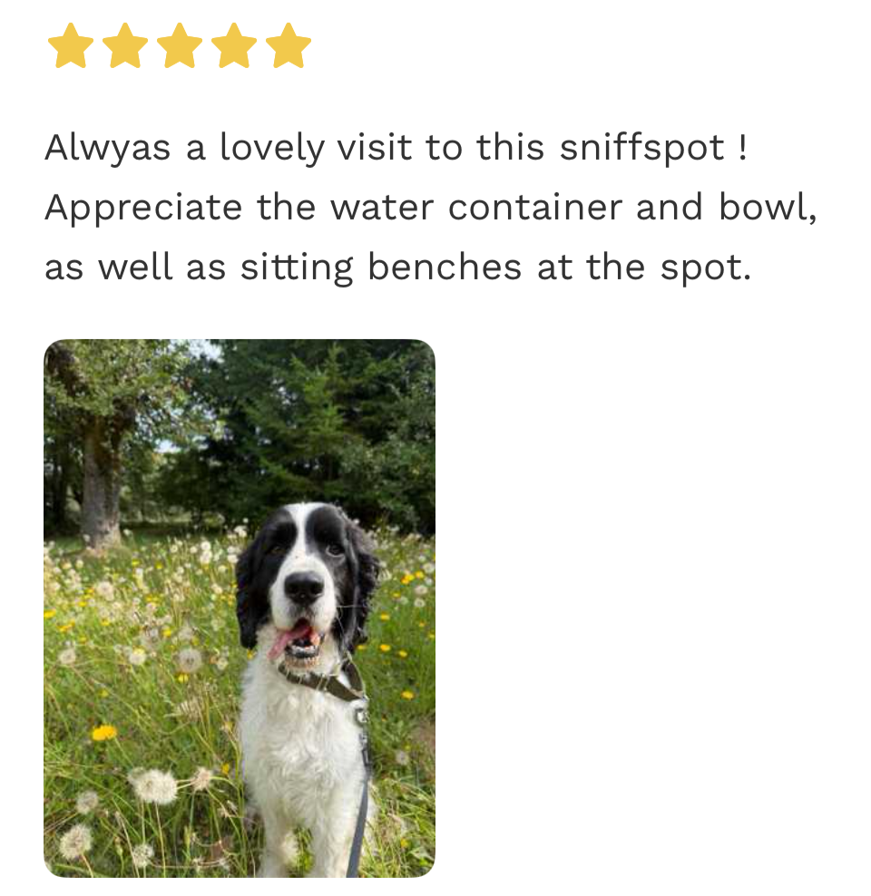 Best SniffSpot near Ferndale WA