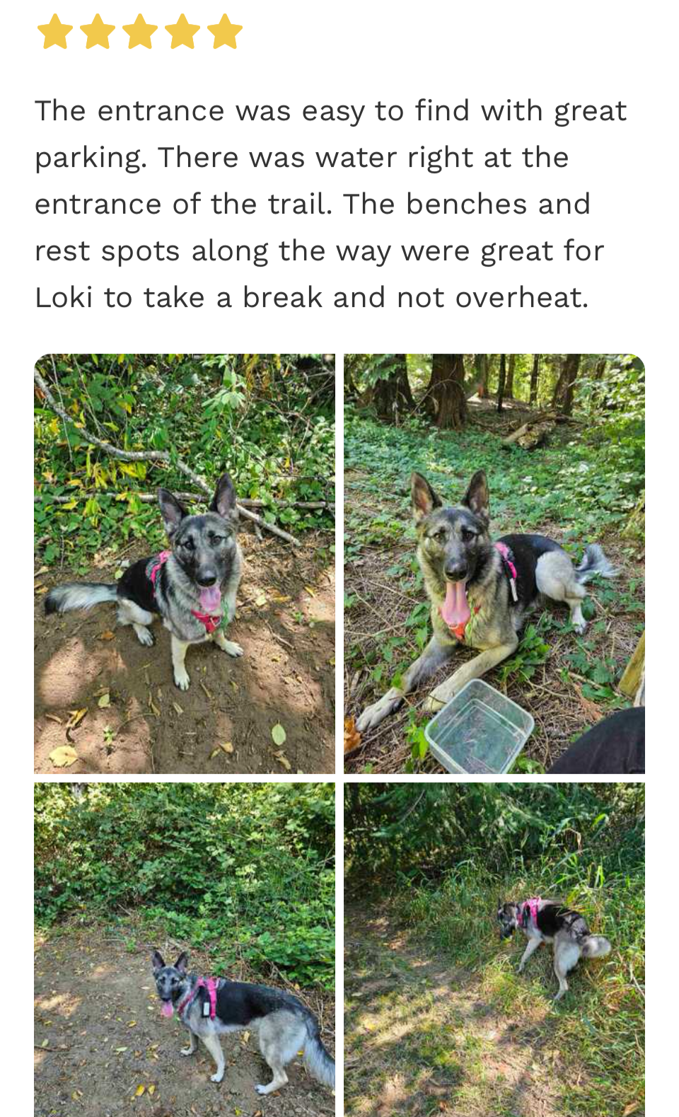 Best SniffSpot near me