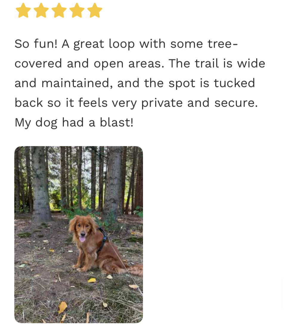 Wooded SniffSpot in Whatcom County