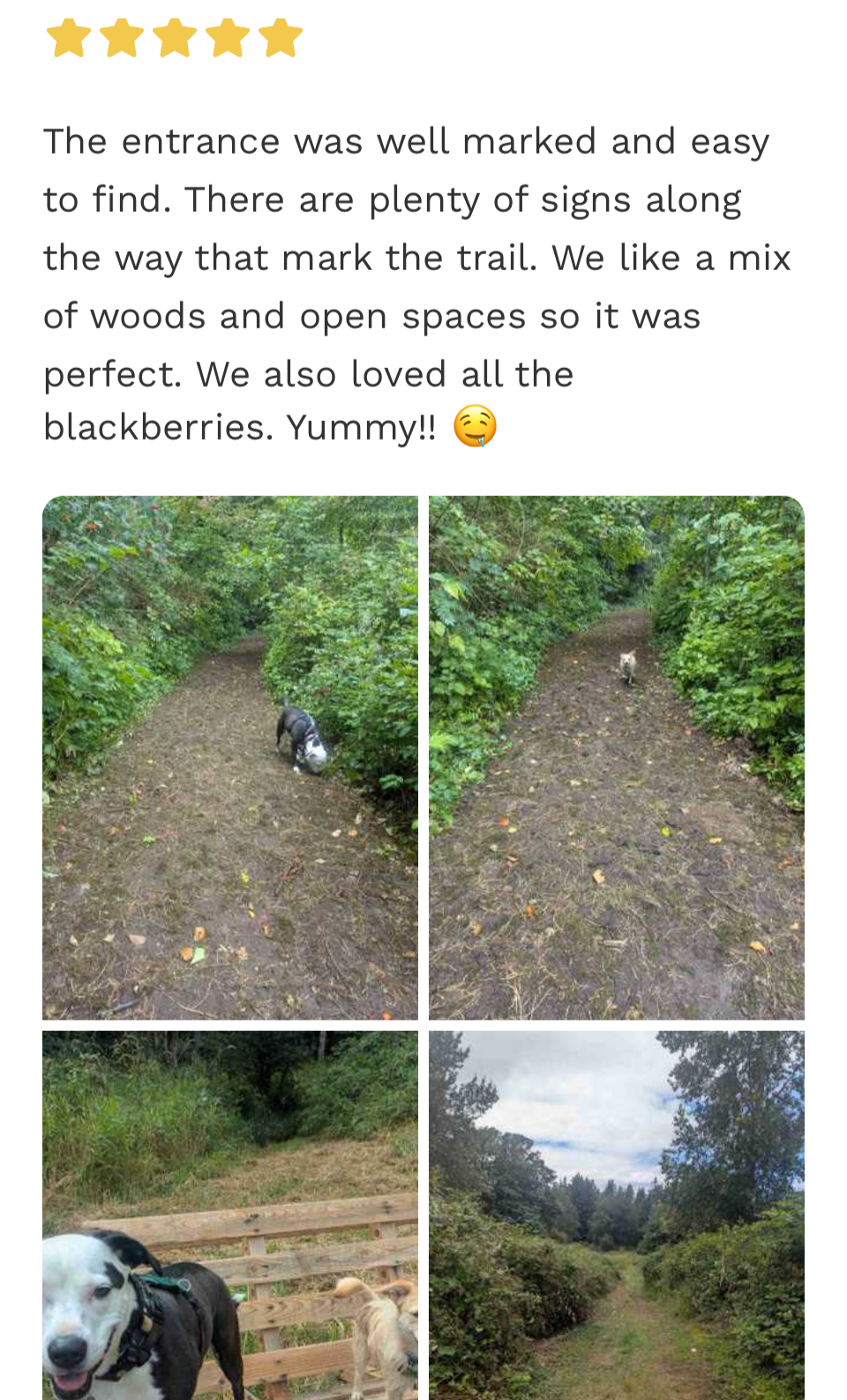 Wooded SniffSpot near Bellingham