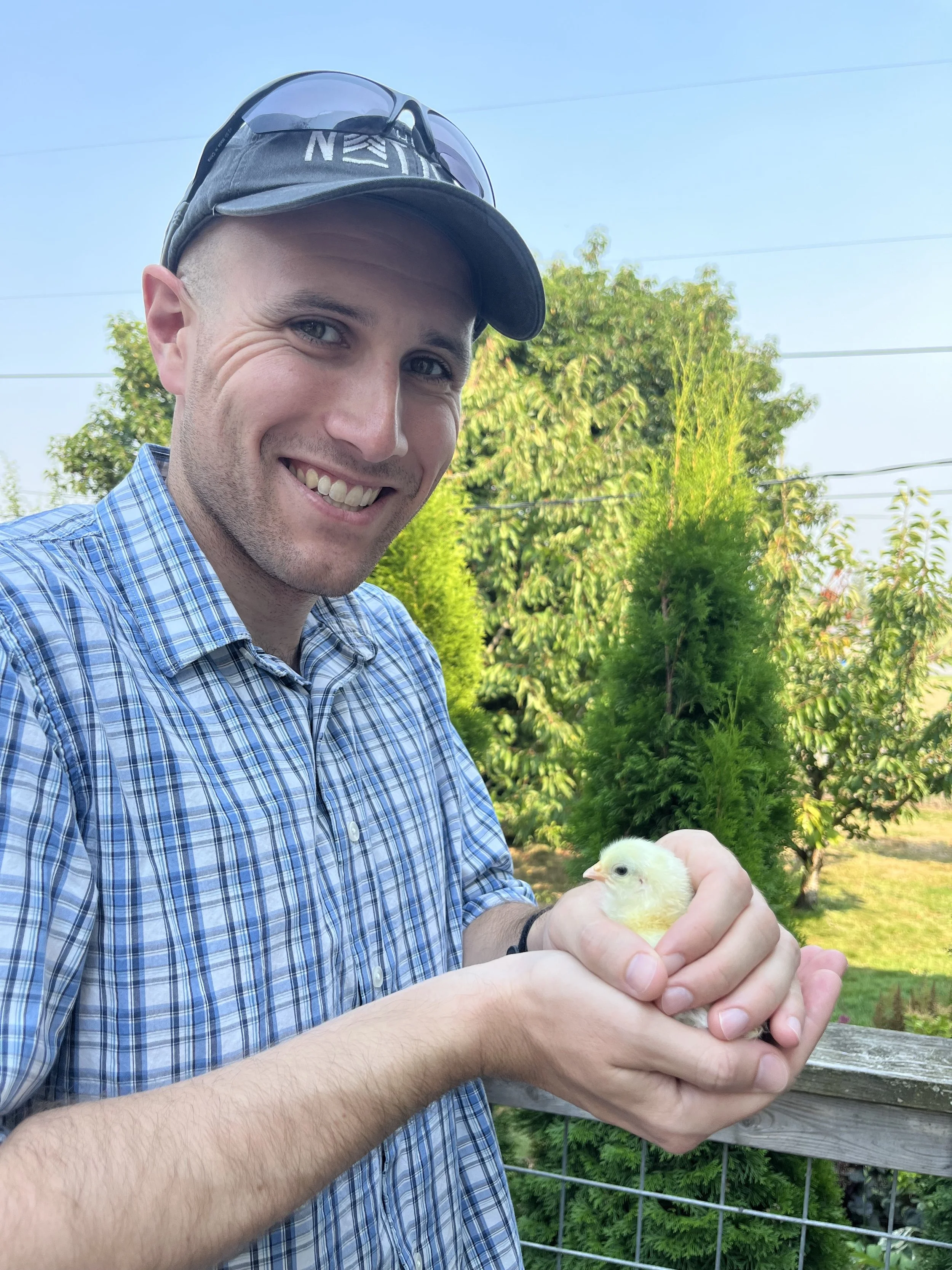 Guest holding a baby chick for the very first time at at Flower Feather Farm, the best AirBNB near Bellingham