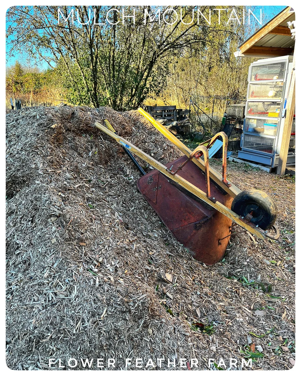 Mulch Mountain at Flower Feather Farm