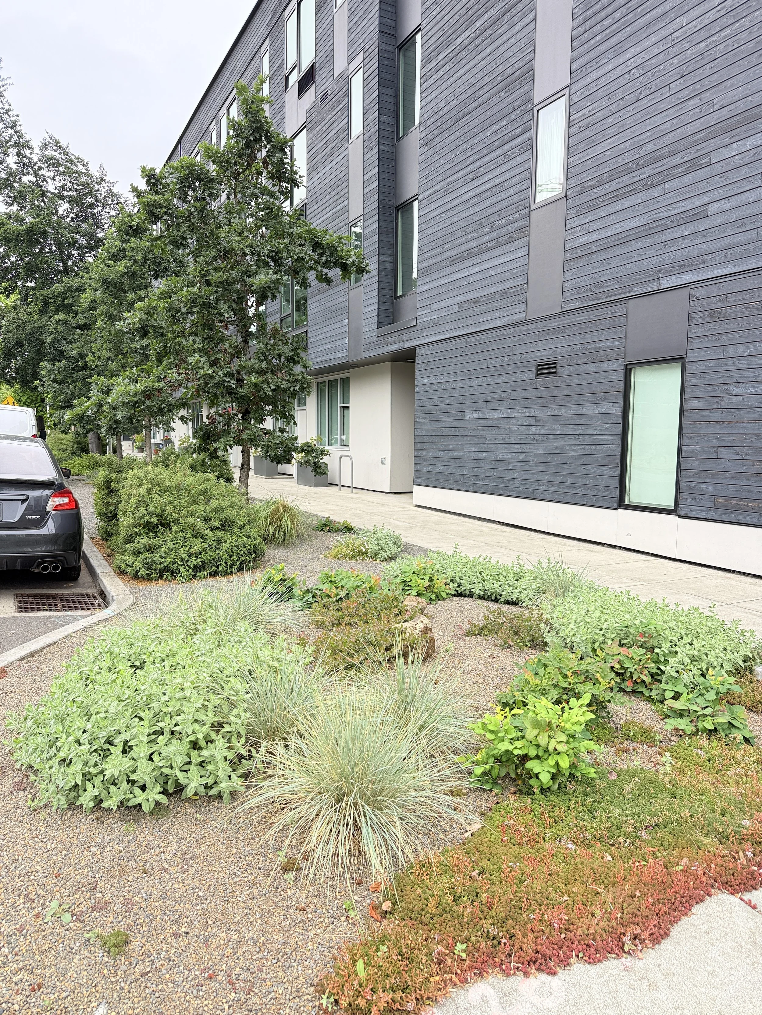 Dekum streetscape 2.JPG