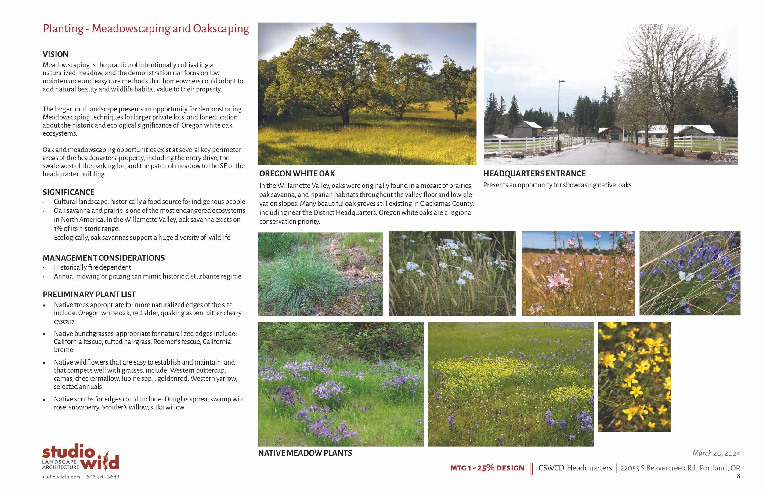 meadowscaping.jpg