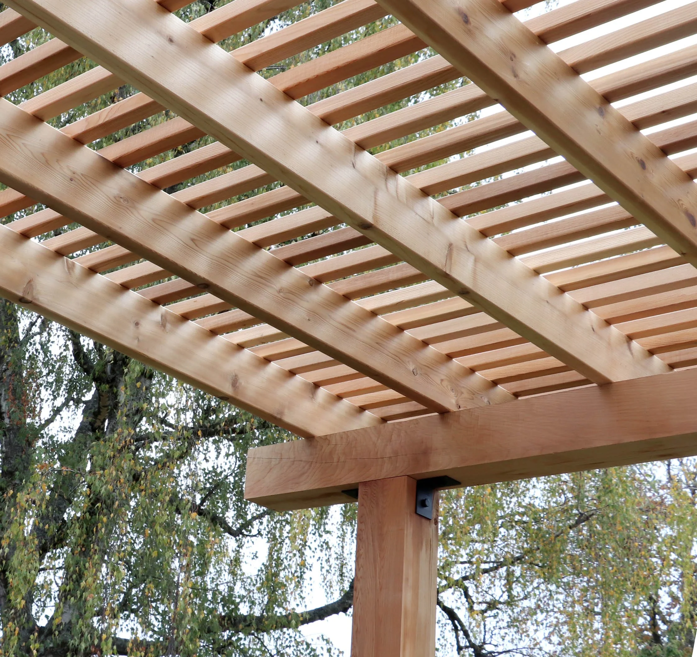 cedar pergola.JPG