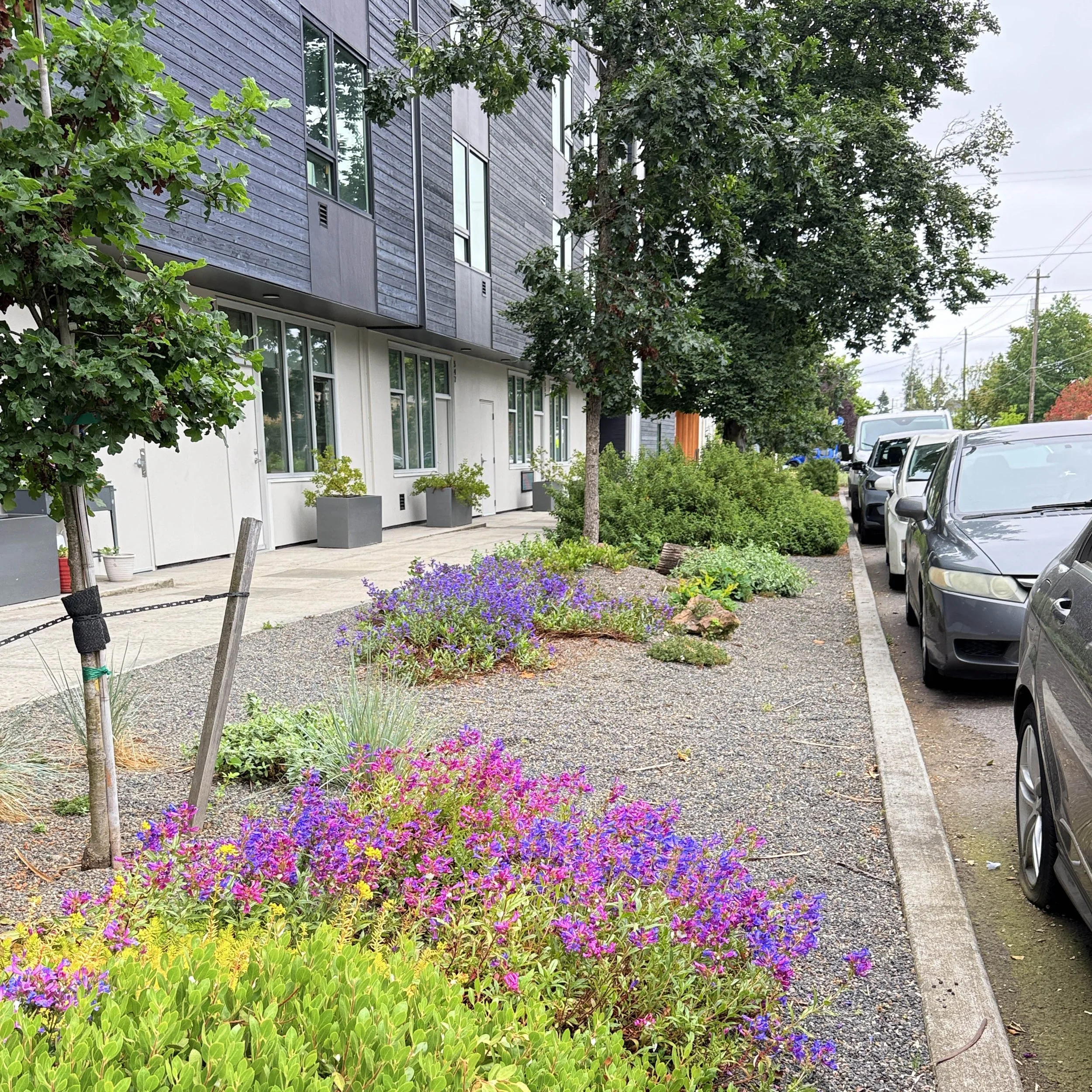 Dekum streetscape 3-sq.jpg