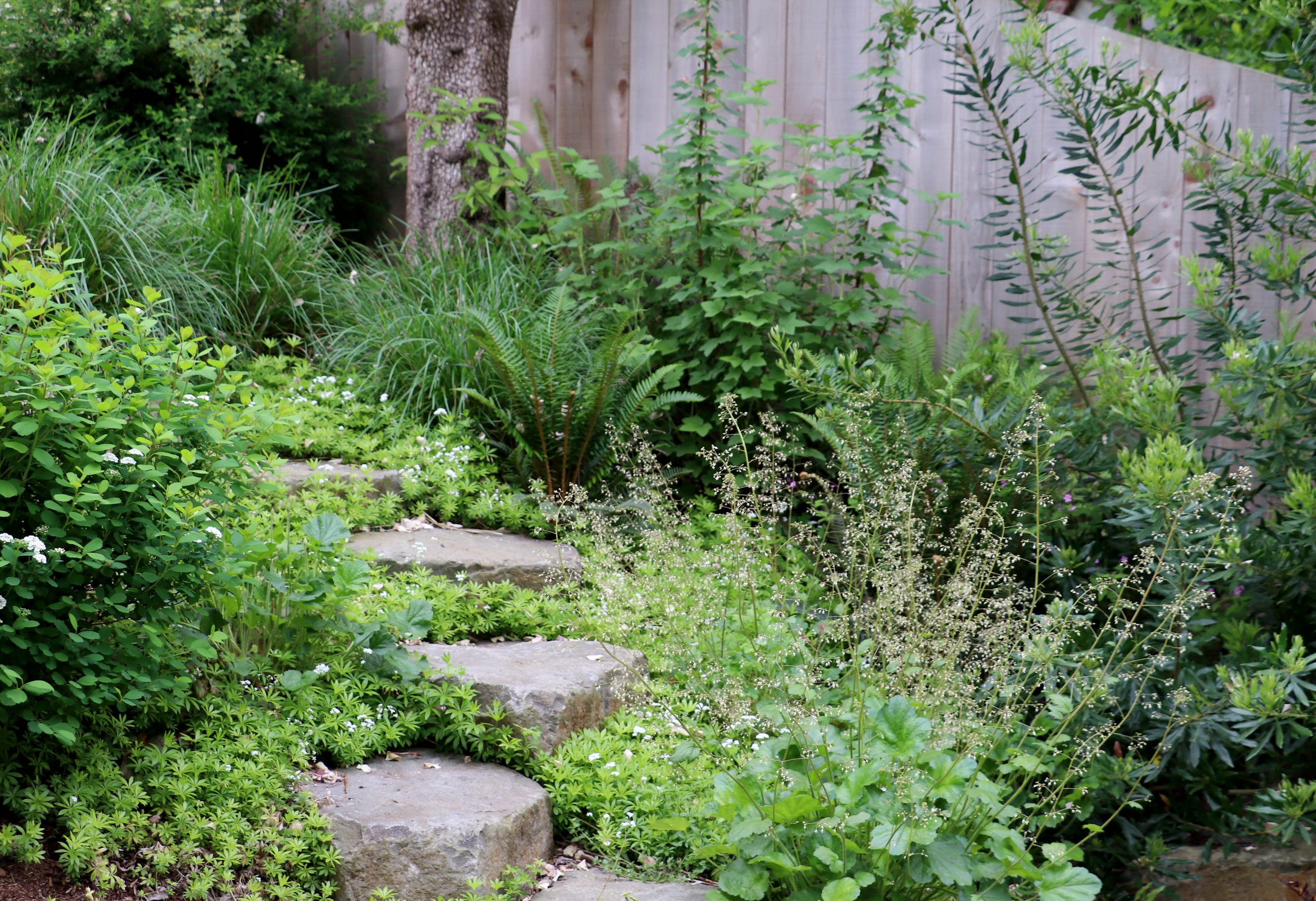 stepping stones 2.JPG