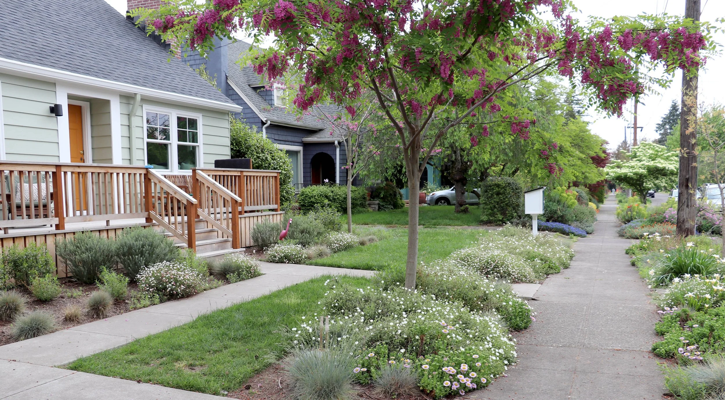 cottage garden sidewalk.JPG