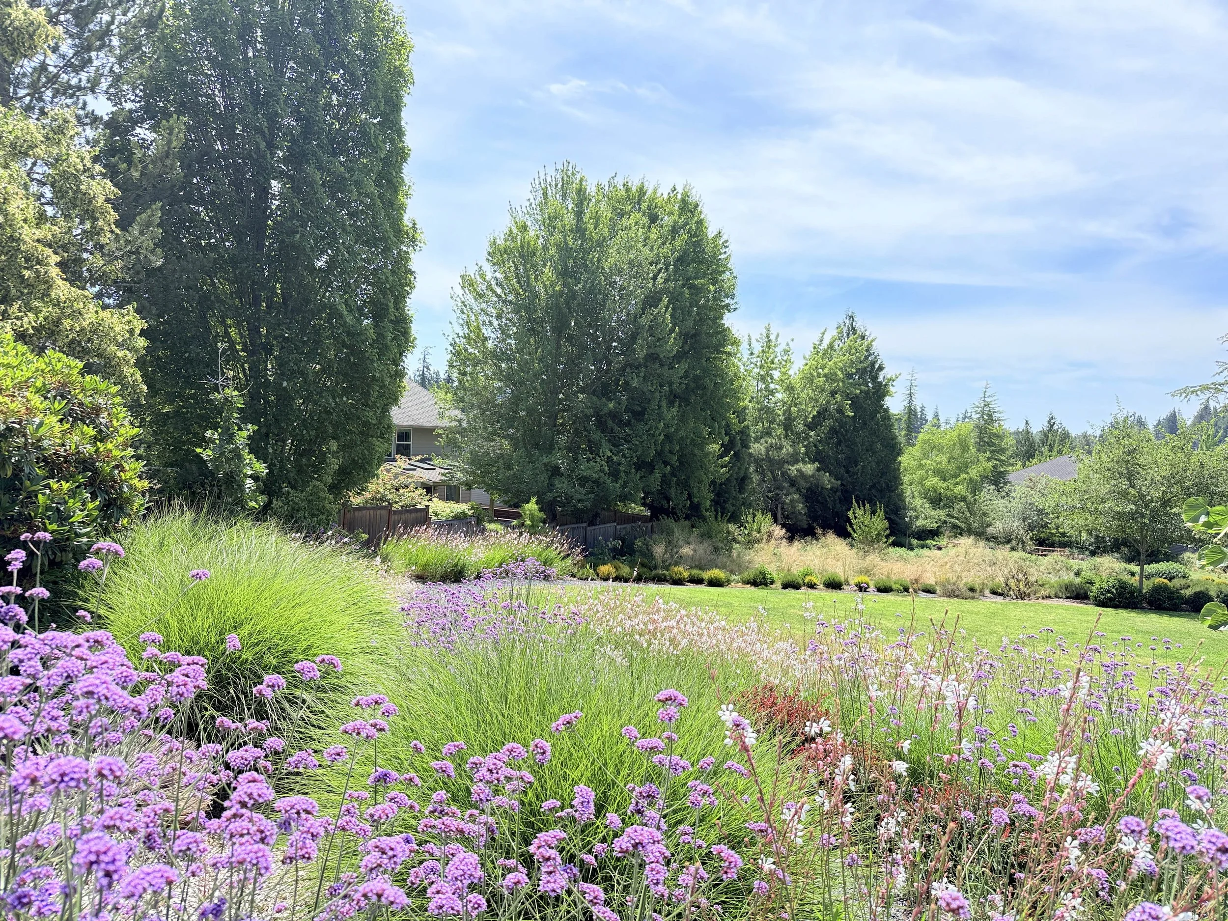 LAKEVIEW PARK