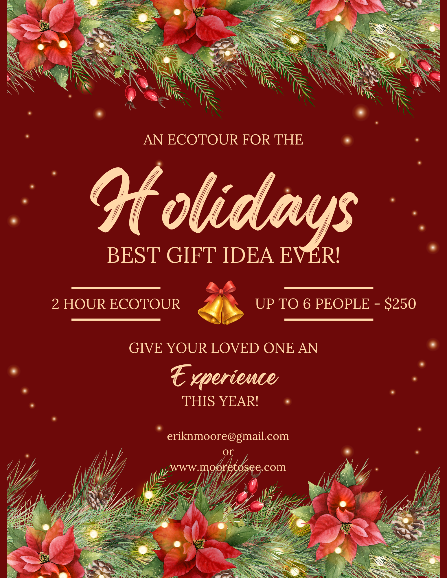 Holiday Gift Idea