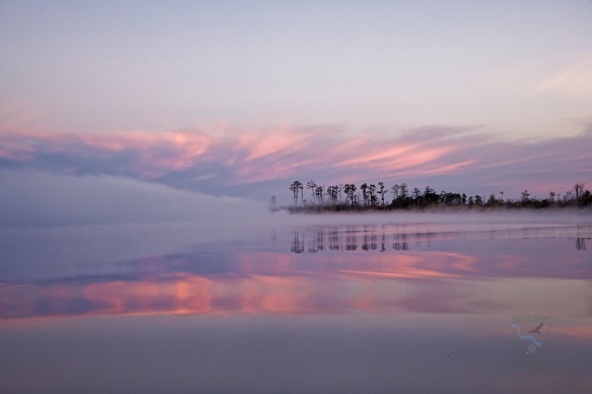 Foggy River Mornings