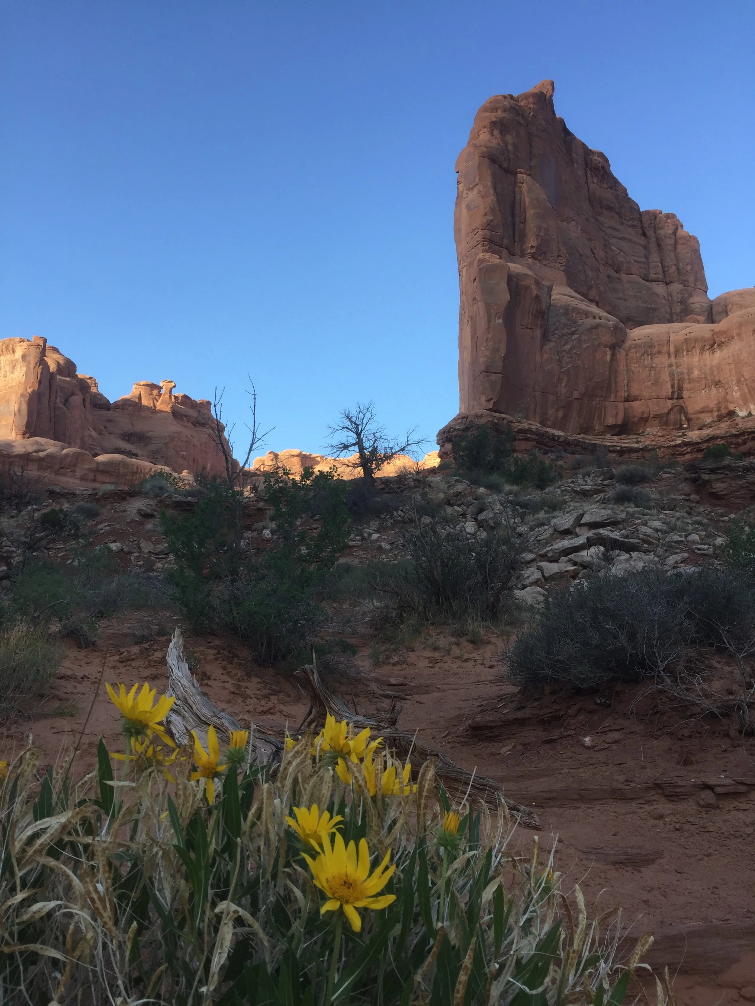 Canyonlands National Park, Utah