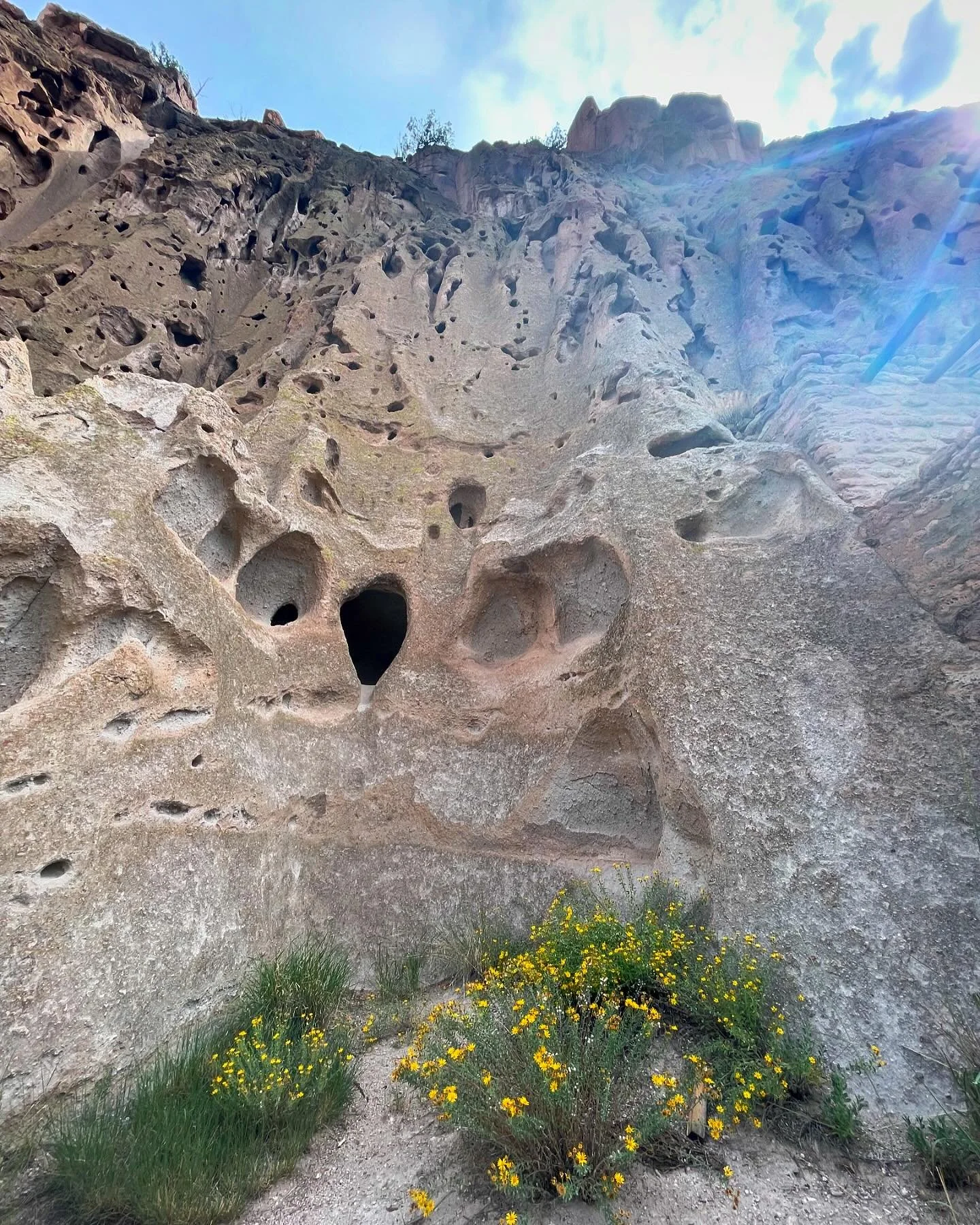 Desert flowers, high walls, and hidey-holes. @bandeliernps 
.
.
.
.
.
.
.
#yesadventures #santafe #newmexico #bandelier #nps #losalamos #hike #hiking #nature #daytrip #iwentoutside #adventure #travel #travelmore #unitedstates