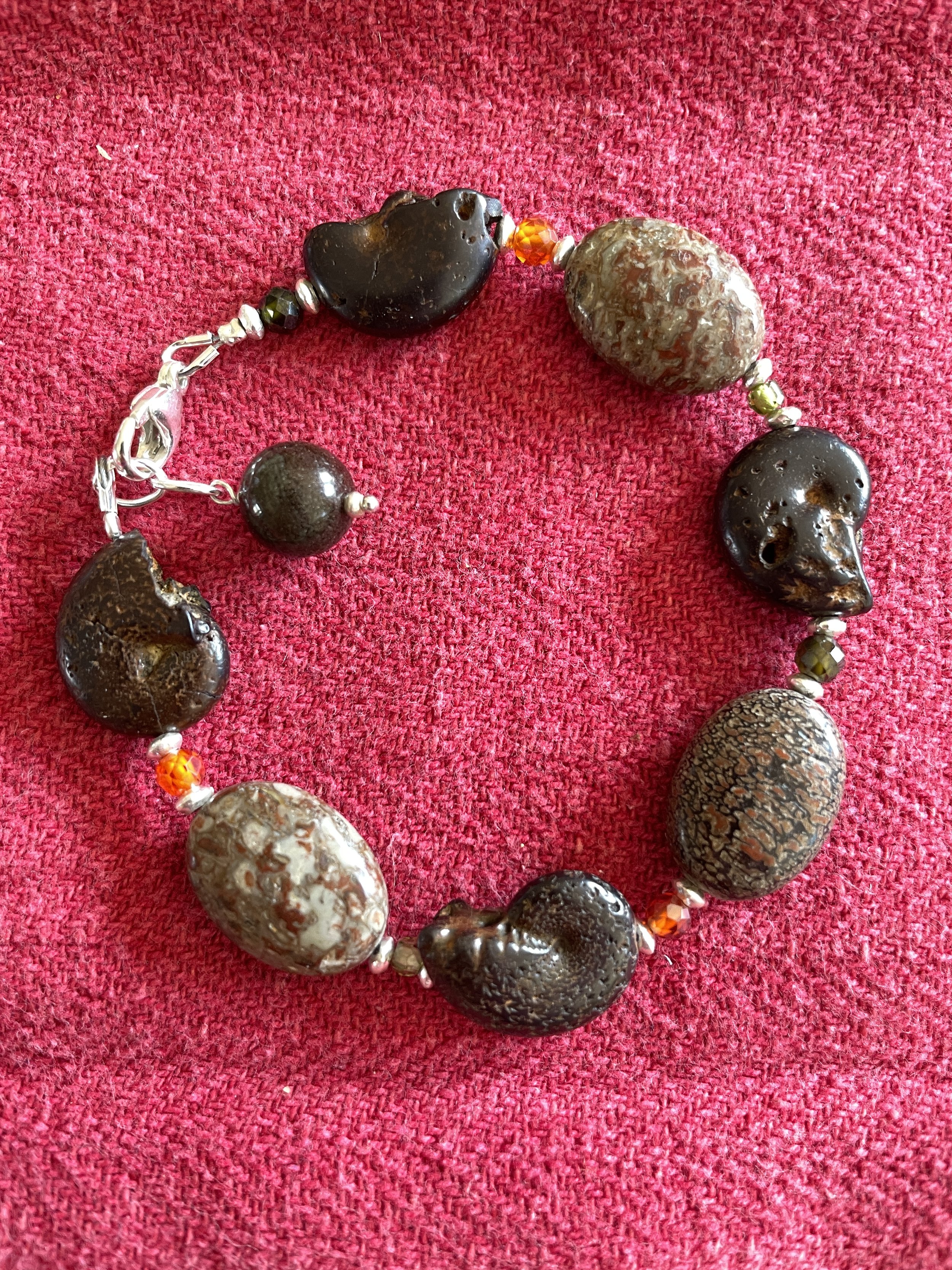 Fossil Ammonite and Dinosaur Bone